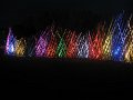 IMG_8962
