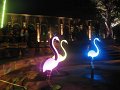 IMG_8964