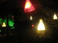IMG_8979