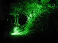IMG_8990