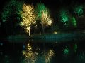 IMG_9000