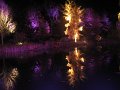 IMG_9002