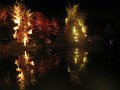 IMG_9005