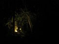 IMG_9014