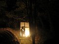IMG_9015