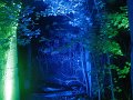 IMG_9038