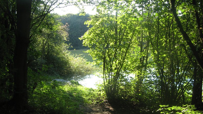 IMG_8783.JPG
