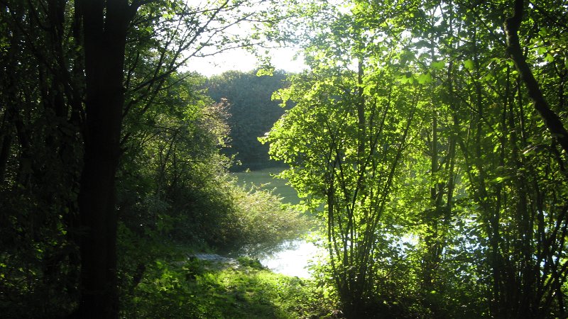 IMG_8784.JPG