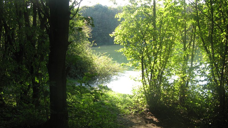 IMG_8785.JPG