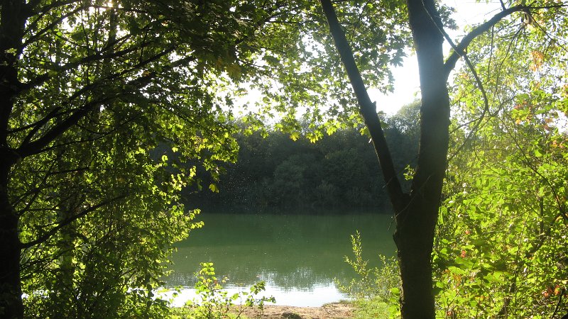 IMG_8796.JPG