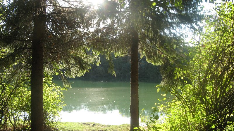 IMG_8798.JPG