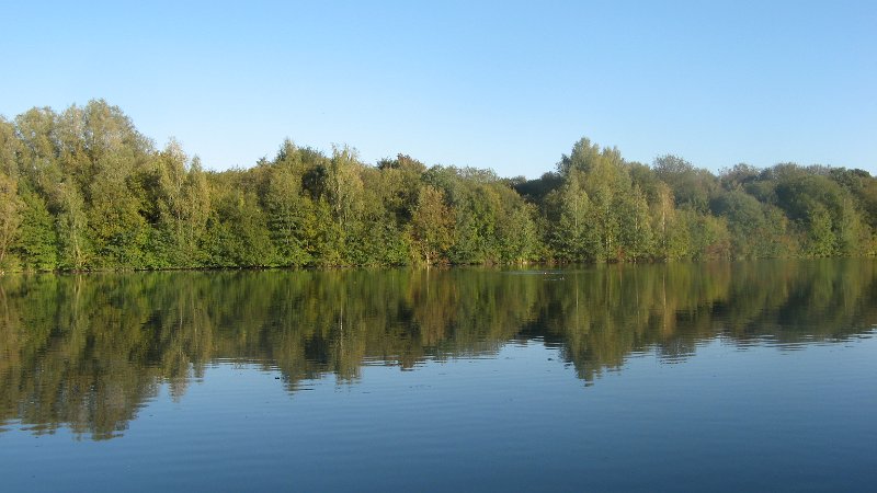 IMG_8809.JPG