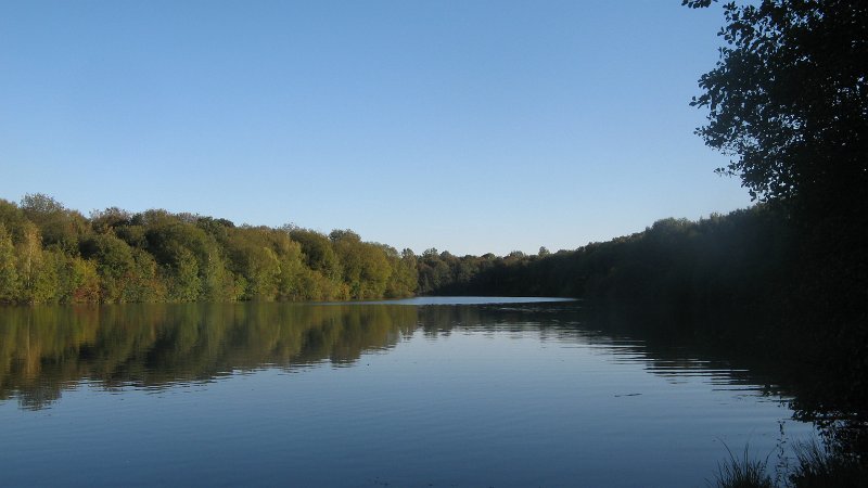 IMG_8810.JPG