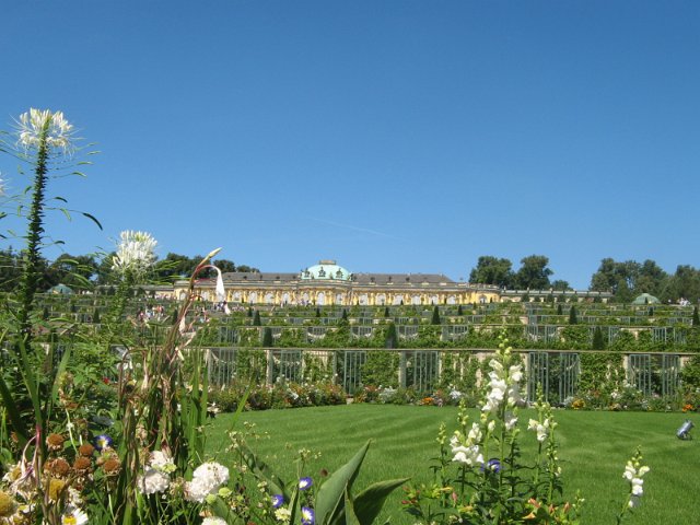 IMG_8660.JPG