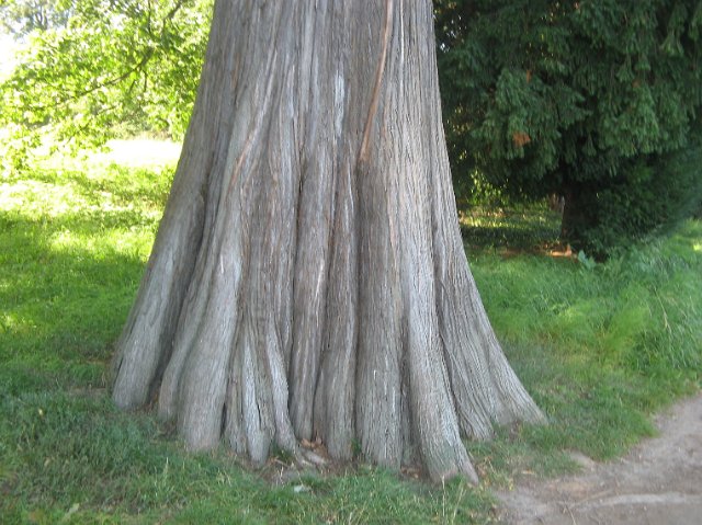 IMG_8698.JPG
