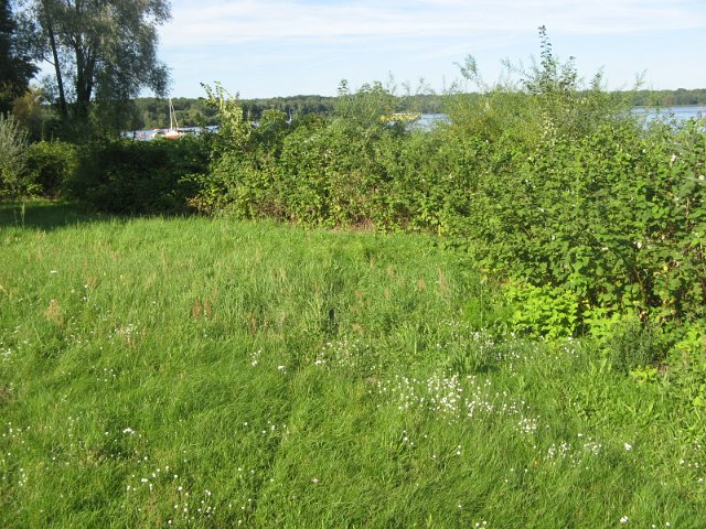 IMG_8701.JPG