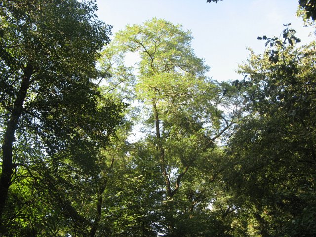 IMG_8703.JPG