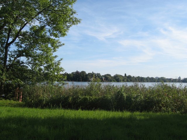 IMG_8710.JPG