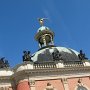 IMG_8625