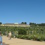 IMG_8642