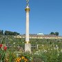 IMG_8647