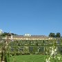 IMG_8660