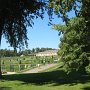 IMG_8663