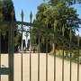 IMG_8670