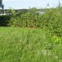 IMG_8701