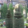 IMG_8716